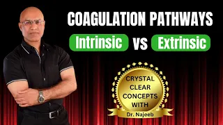 Intrinsic and Extrinsic Pathway of Coagulation | Hematology