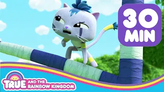 The KittyNati 🌈 FULL EPISODE + More Ninja Cat Moments 🌈 True and the Rainbow Kingdom