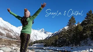 Sangla & Chitkul l Gem of Himachal Pradesh l Places to visit in winter #chitkul #spiti ❄️