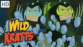 Wild Kratts ⭕🌊 Activate Deep Blue Water Powers! | Kids Videos
