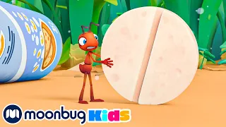 There She Blows | ANTIKS | Moonbug Kids - Funny Cartoons and Animation