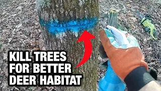 How to Kill Trees for Better Deer Habitat With the Girdle-and-Squirt Method