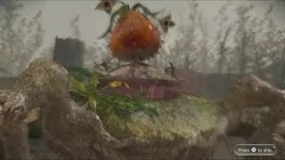 The Top 10 Pikmin Bosses!