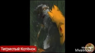 Коты-Воители Огнезвёзд и Пестролистая