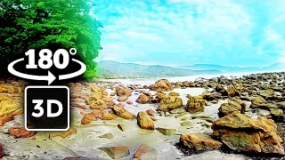 Walking Tour in Paradisiacal Brazilian Beach | Natural Pool at Fortaleza Beach in Ubatuba | Relaxing