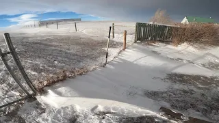 Chinook blowing snow