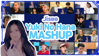 Jisoo (BLACKPINK) "Yuki No Hana" reaction MASHUP 해외반응 모음