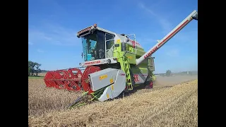 [Let´s Drive] POV Weizen DRESCHEN mit CLAAS DOMINATOR 88 SL Classic I DE I FrankFahr