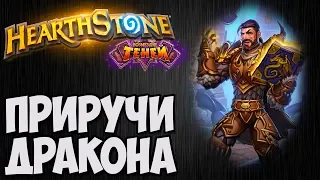 ПАЛАДИН с ДРАКОНАМИ. Hearthstone (Возмездие теней). Владимир Патриот.