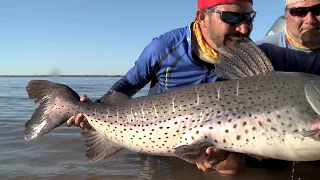 PINTADO GIGANTE FISGADO COM ARTIFICIAL NO RIO PARANÁ ARGENTINA