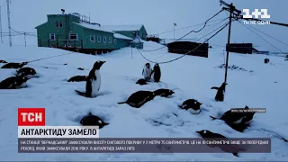 На станції "Вернадський" зафіксували рекордну кількість снігу в Антарктиді | ТСН Ранок
