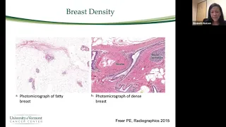 Updates in Breast Density