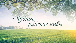 "Чудные, райские нивы" №245 (минус) l Сборник "ИСТОЧНИК ХВАЛЫ"