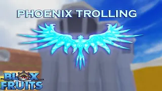 Phoenix Trolling | Blox Fruit