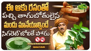 ఈ ఆకు రసంతో పచ్చి తాగుబోతులైన మందు మానేయాల్సిందే | STOP ALCOHOL , SMOKE | Dr.Ravivarma Official