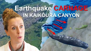 Earthquake Carnage In Kaikōura Canyon