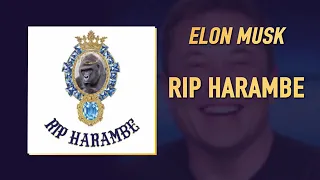 Трек: Илон Маск - RIP Harambe (Elon Musk)