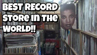 BEST RECORD STORE IN THE WORLD!!