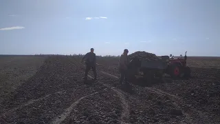 Возимо органічні добрива на поле. (Вивозим гній)