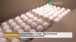 Птахофабрика з нуля: від організації виробництва до експорту | Агро-Експрес