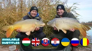 Coldwater Feeder Fishing for Carp  part 20. a movie by Gábor Döme  Rapid Big Carp Fishing