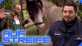 Pony gestohlen & ausgesetzt: Hat sich der Tierquäler an der Besitzerin gerächt?| Auf Streife | SAT.1