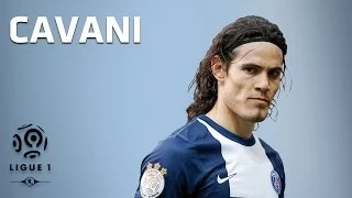 Edinson Cavani - All 16 Goals - 2013-2014