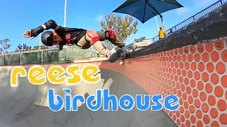 Reese Nelson - Welcome to Birdhouse