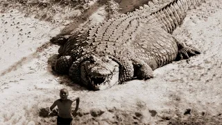 This is The Most Dangerous Crocodile in History