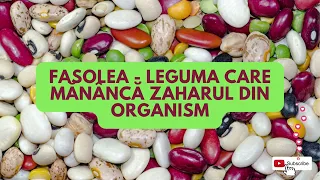 Fasolea - Leguma care mananca zaharul din organism