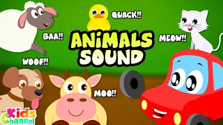 Animals Sound Song + More Kids Music & Learning Videos