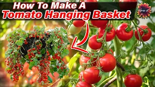 Hanging Tomatoes - How To Make A Tomato Hanging Basket - Grow Upside Down Tomatoes ANYWHERE! #Tomato