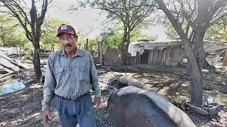 Viven AISLADOS en una COLONIA RURAL/ Campo del Cielo - Santiago del Estero.
