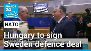 Hungary says will sign defence industry deal with Sweden amid NATO bid • FRANCE 24 English