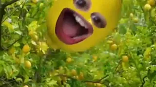 when life gives you lemons