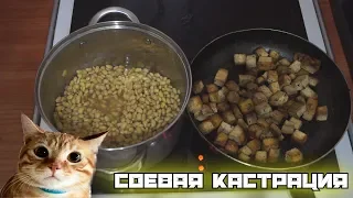 Cоевая кастрация