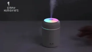 H2O Humidifier