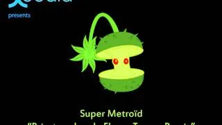 Super Metroid - Brinstar Jungle Floor : Trance Remix