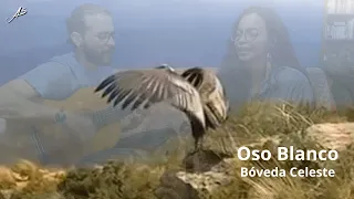 Bóveda Celeste | OSO BLANCO (Cover) - AngelSuena ▶️🎵