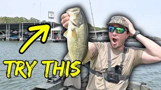 I’m SO GLAD I Figured THIS OUT | Spring BASS FISHING Guntersville Lake