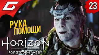 КОТАЛЛО и АДСКАЯ ГОНКА ➤ Horizon 2: Forbidden West / Запретный Запад ◉ Прохождение #23