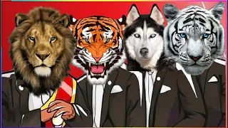 LION & TIGER & HUSKY & WHITE TIGER (ANIMALS WORLD) - Coffin Dance X Baby Shark COVER