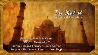 Ajnabi Thehro Zara (Lyrics Video) - Taj Mahal: An Eternal Love Story