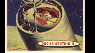 3rd November 1957: Laika the dog becomes first animal in orbit