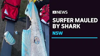 Sunshine Coast surfer's arm saved after shark attack on the NSW Mid North Coast | ABC News