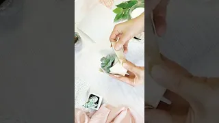 EASY DIY Succulent Gift Wrapping | Gift, Wedding, Party Favor Packaging ideas Creative