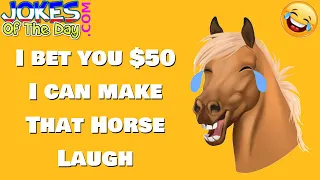 Funny (adult) Joke: I bet you $50 I can make that horse laugh