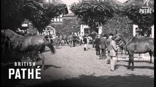 Dublin Horse Show (1967)