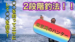 【巨大魚ハンター】東京湾で釣ったアジを泳がせたらアイツがきた！！