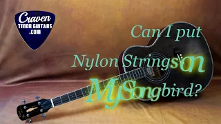 Nylon strings on a 265 Shari Ulrich Songbird Tenor Guitar